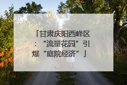 甘肃庆阳西峰区：“流量花园”引爆“庭院经济”